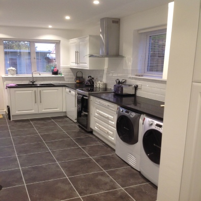 animal-website-design-logo